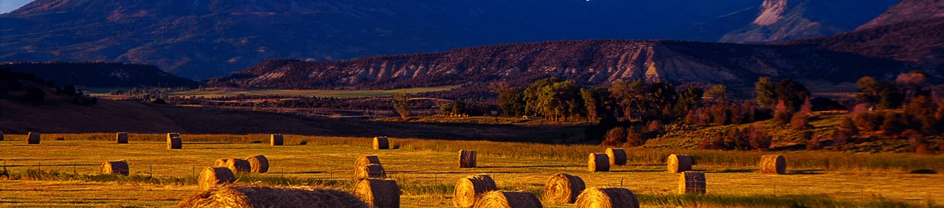 Timeline Cover
